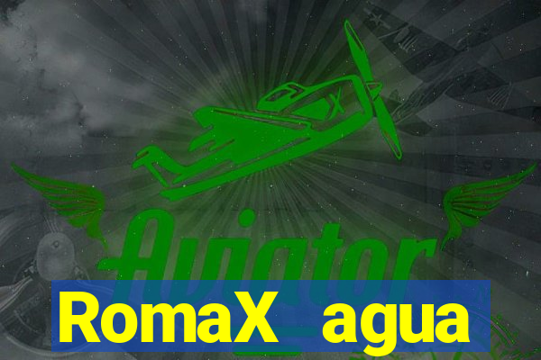 RomaX agua sanitaria fispq agua sanitaria romax